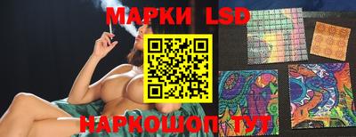 прущие крисы Кингисепп