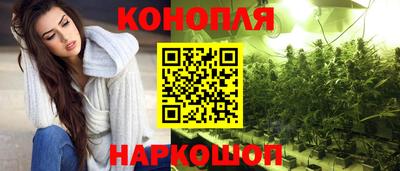 mdpv Краснознаменск