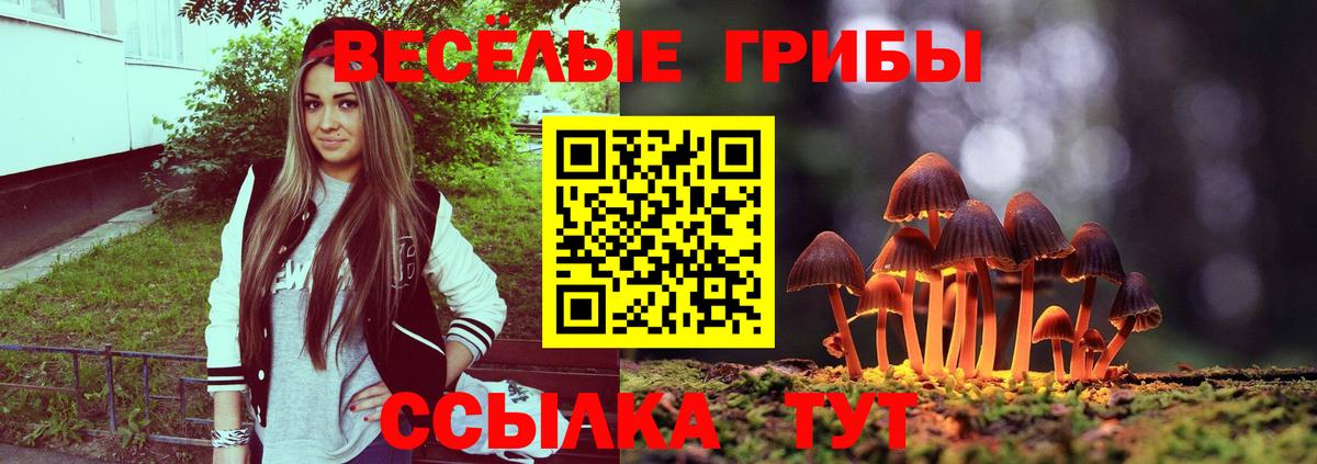 купить  сайты  Вход с VPN  Шадринск  Галлюциногенные грибы GOLDEN TEACHER 